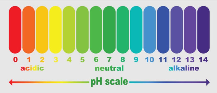 PH Scale